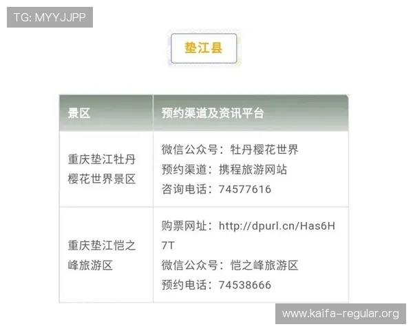 如何通过凯发旗舰厅官网电话号码快速获取专业客服支持与帮助指南